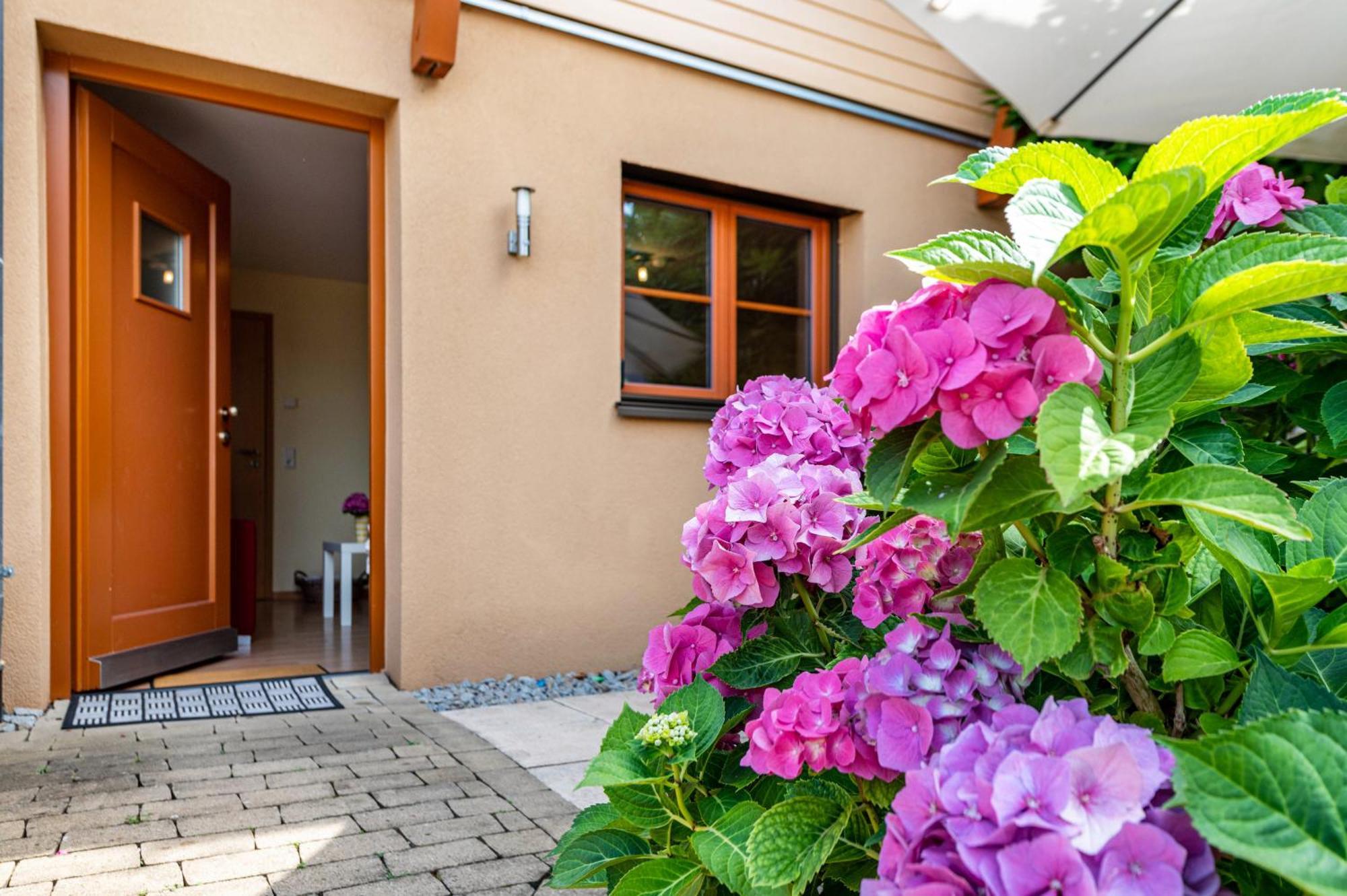 Ferienwohnung Hach Sulzburg Exterior foto